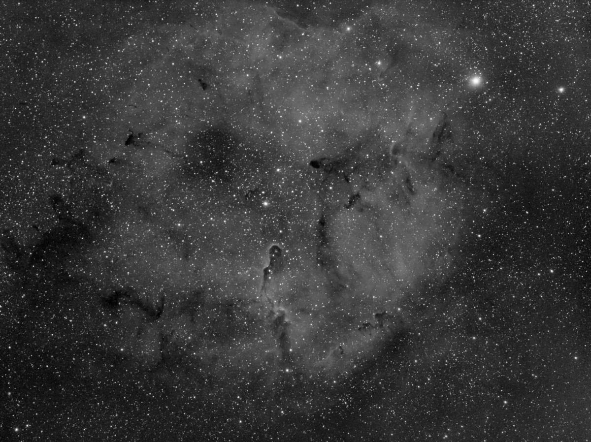 Elephant trunk_24-25aug2019_95x60s_gain50_Ha_300mmF4_DC_DBE_MLT_HIST_LHE-web