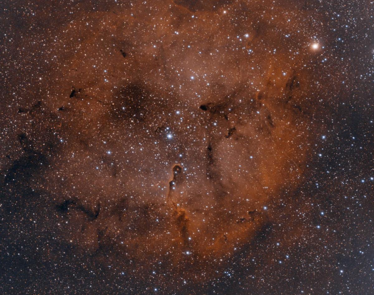 Elephant_trunk_24aug-1sept2019_67x60s_300mmF4_tmin20_OIII_95x60s_Ha_bicolorPM_COLSAT_CT-web