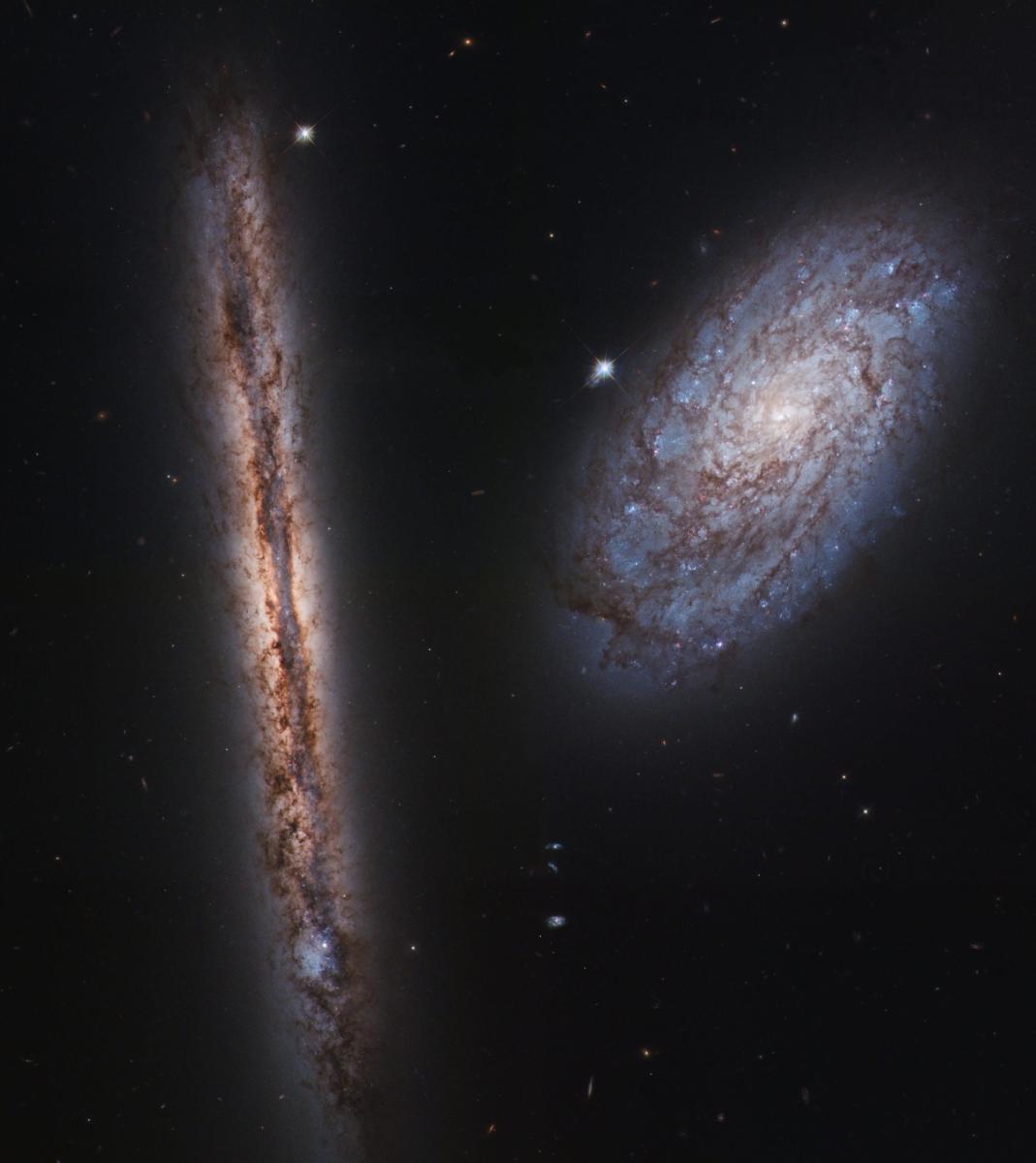 NGC4302