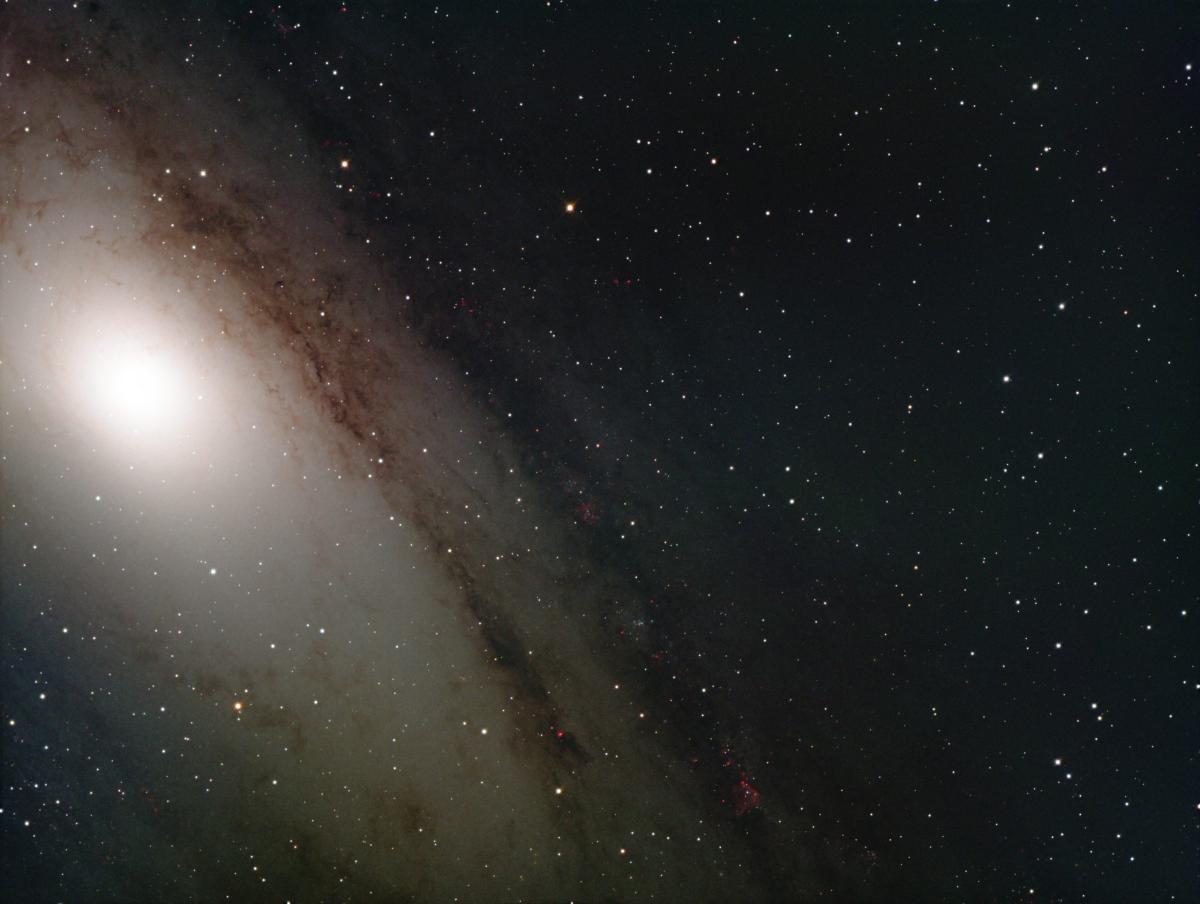 M31