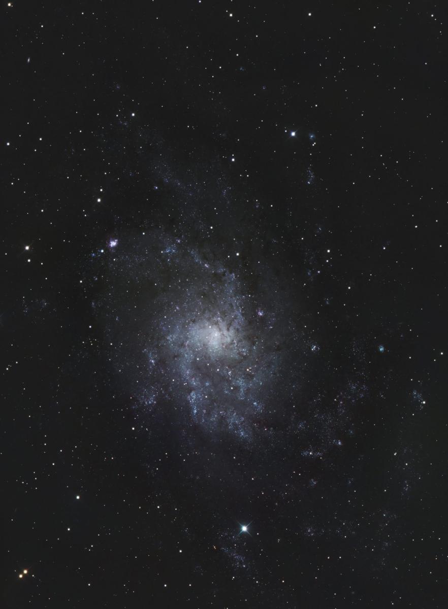 M33