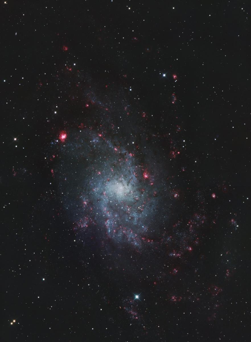 M33