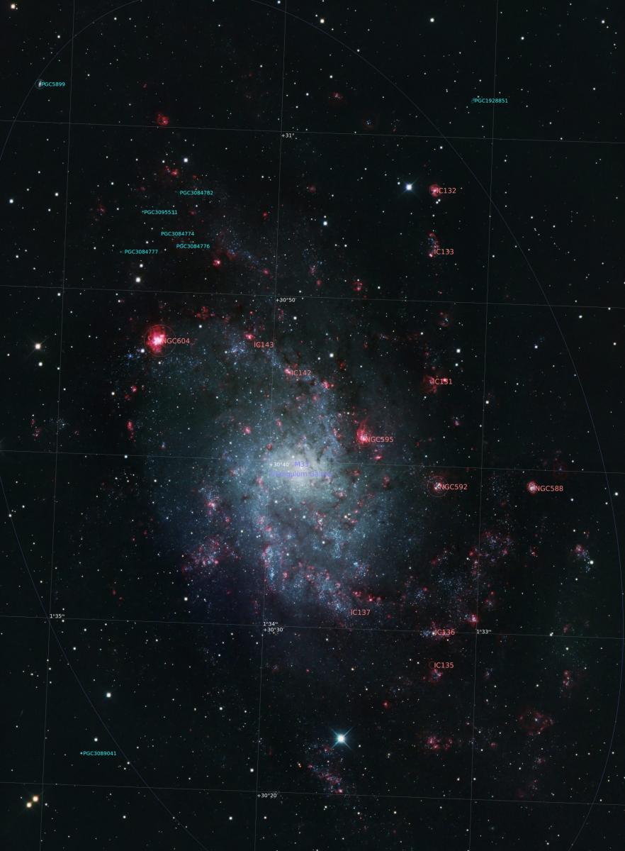 M33
