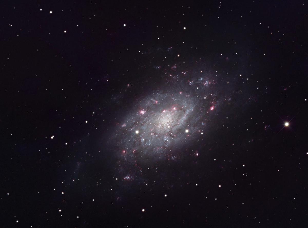 NGC2403