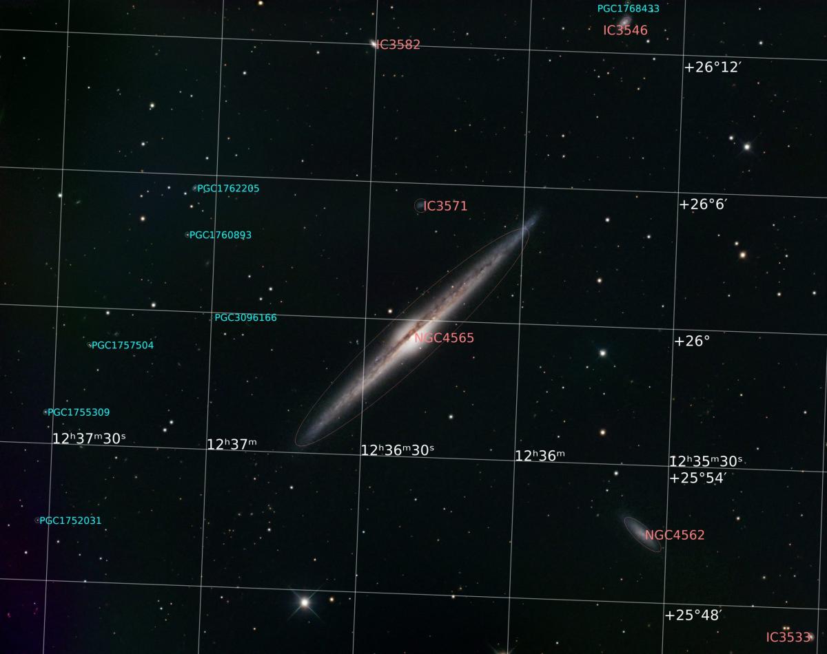 NGC4565