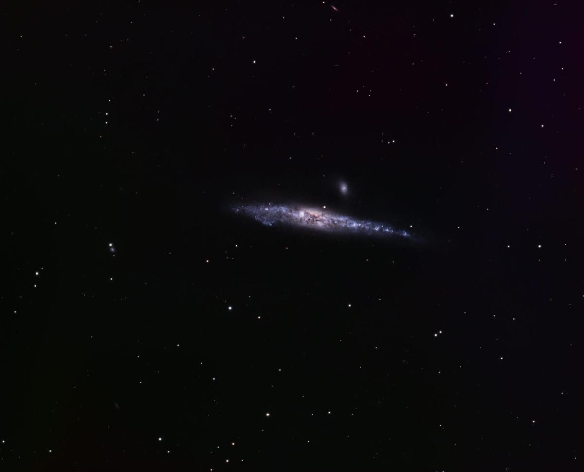 NGC4631 Whale galaxy