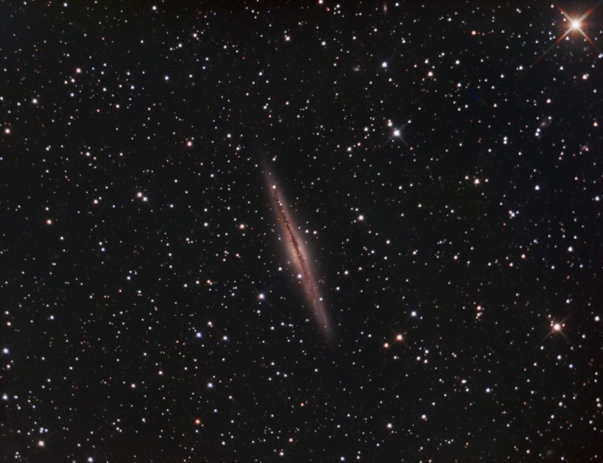 NGC891_25octand4and19nov_47and46and46x180s_RGB__1500mm_BN_DBE_DECONV_mMLT_HIST_TGV_munsharp_CT_DBE1