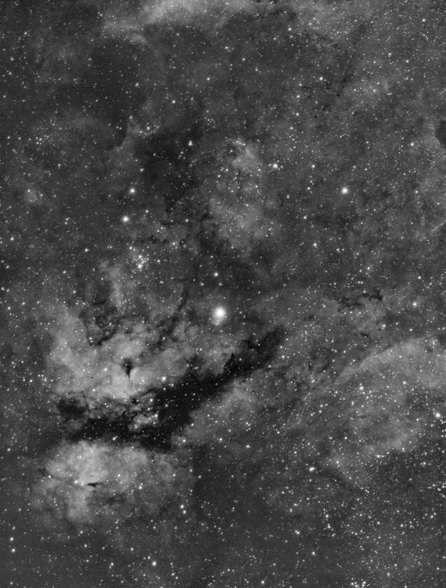 Sadr region 29nov2019_65x60s_300mmF4_Ha_DC_Fastrot_DBE_MLT_HIST_LHE_MT-web