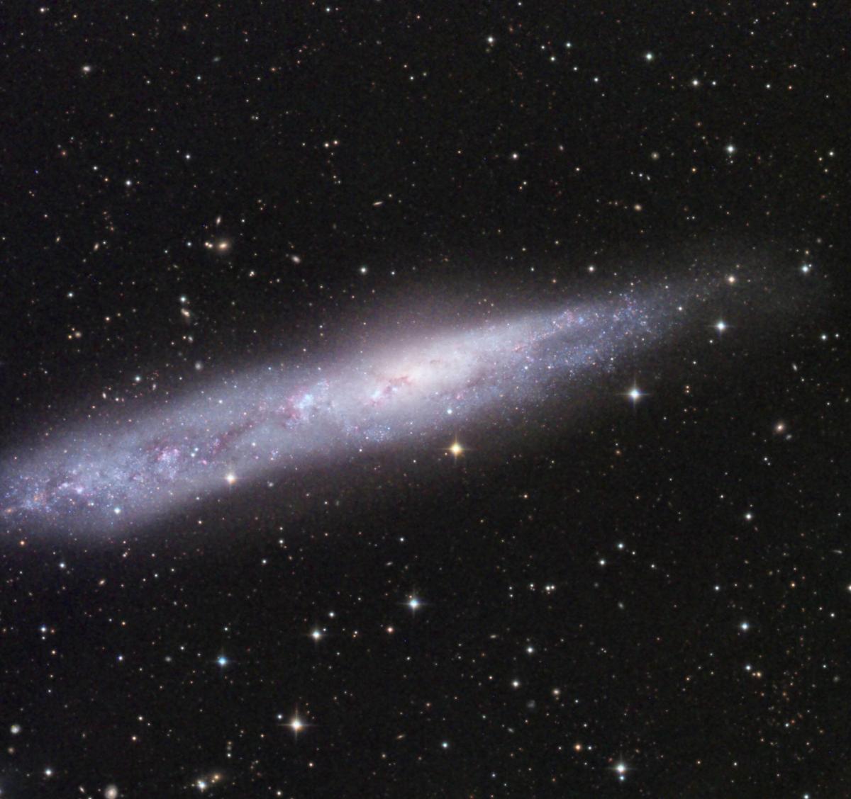 TL20_NGC55_11sept2020_12x5m_LRGB_CS_DBE_mMLT_HIST_mCOLSAT_ACDNR_mCT_DC_LHE_rmCT-web